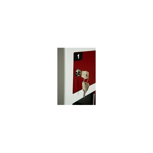 Sm�rumsskab med 5 rum gr�/vinr�d